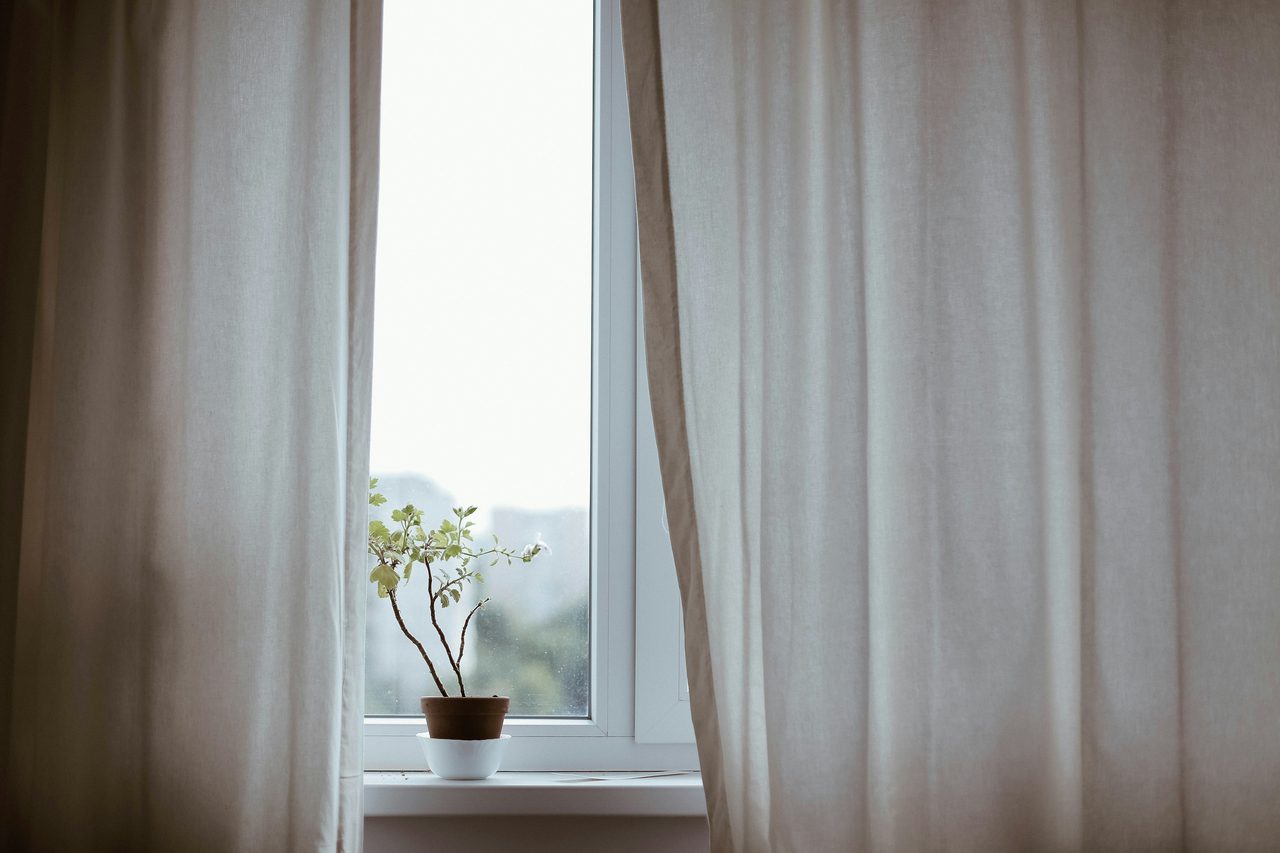 Kleine Topfpflanze auf einer Fensterbank zwischen hellen Vorhängen